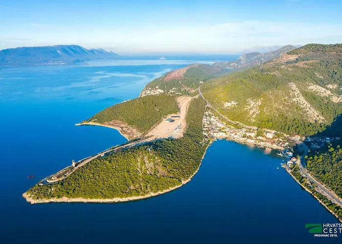 Galeb *