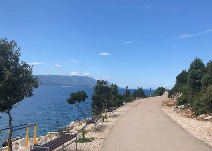 Galeb * Komarna