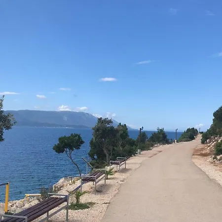 Galeb * Komarna